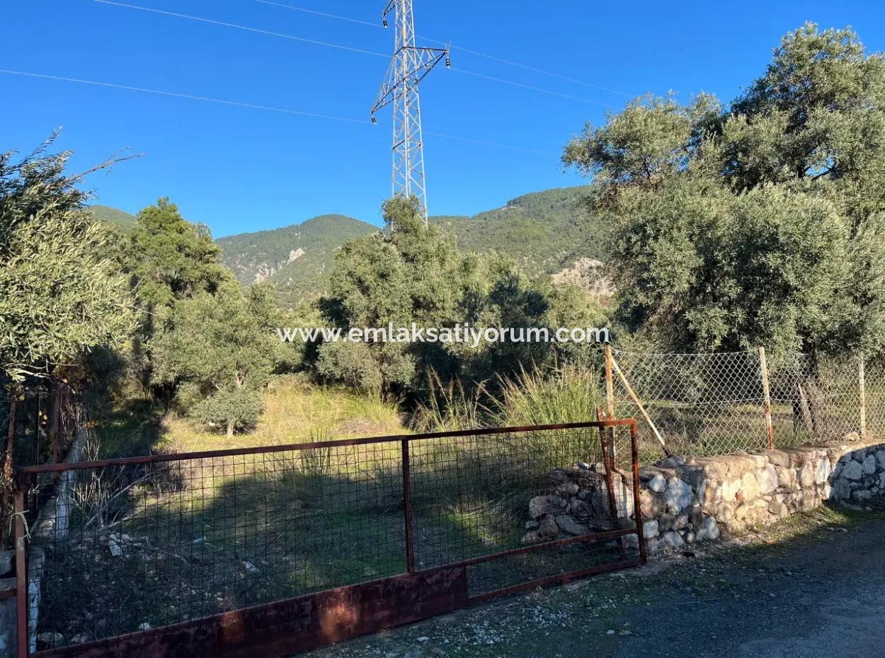 For Sale 3.300 M2 Land Suitable For Deposit In Muğla, Köyceğiz, Ekincik