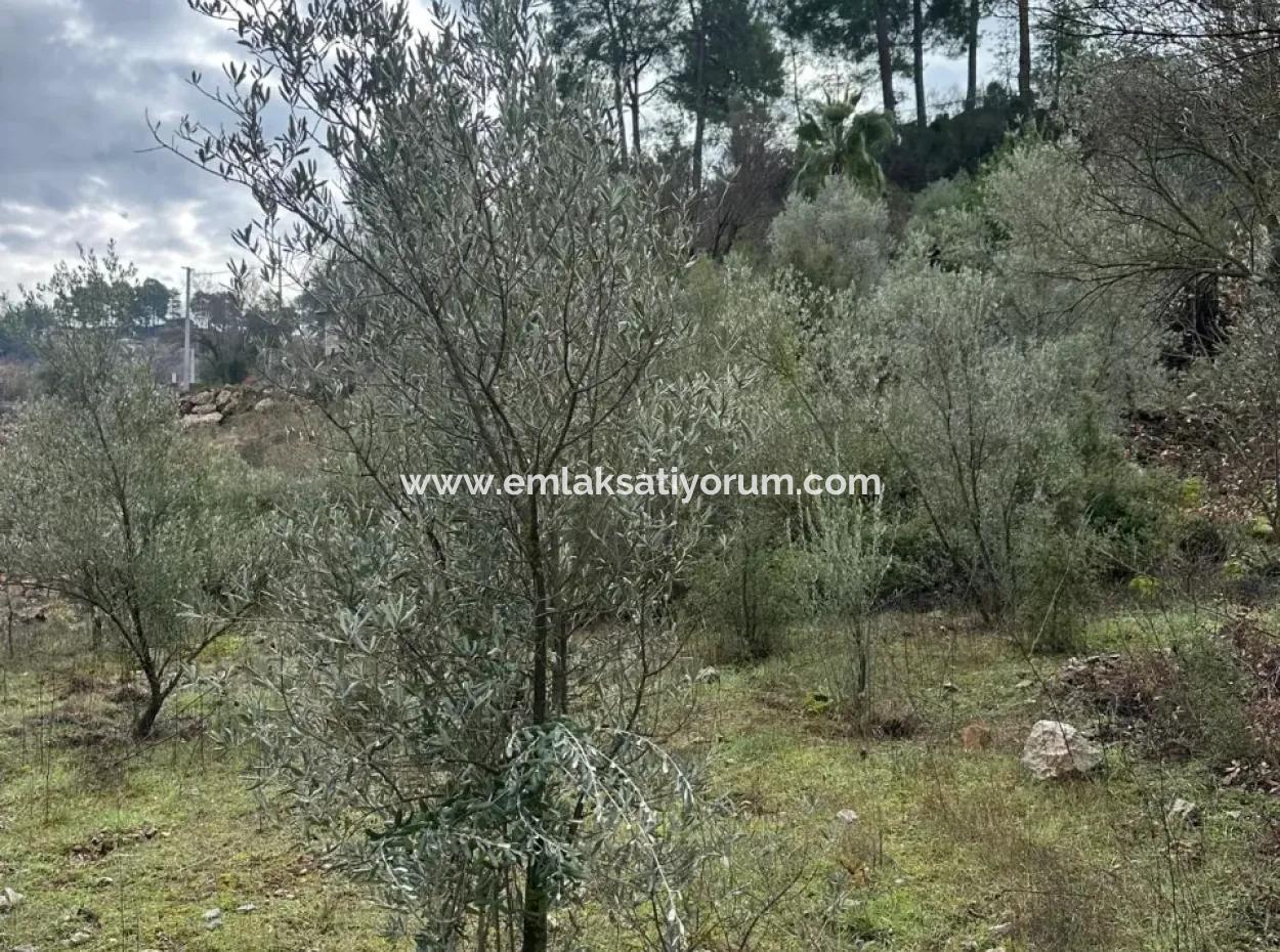 For Sale In Fethiye Gökçeovacıkta 1709 M2