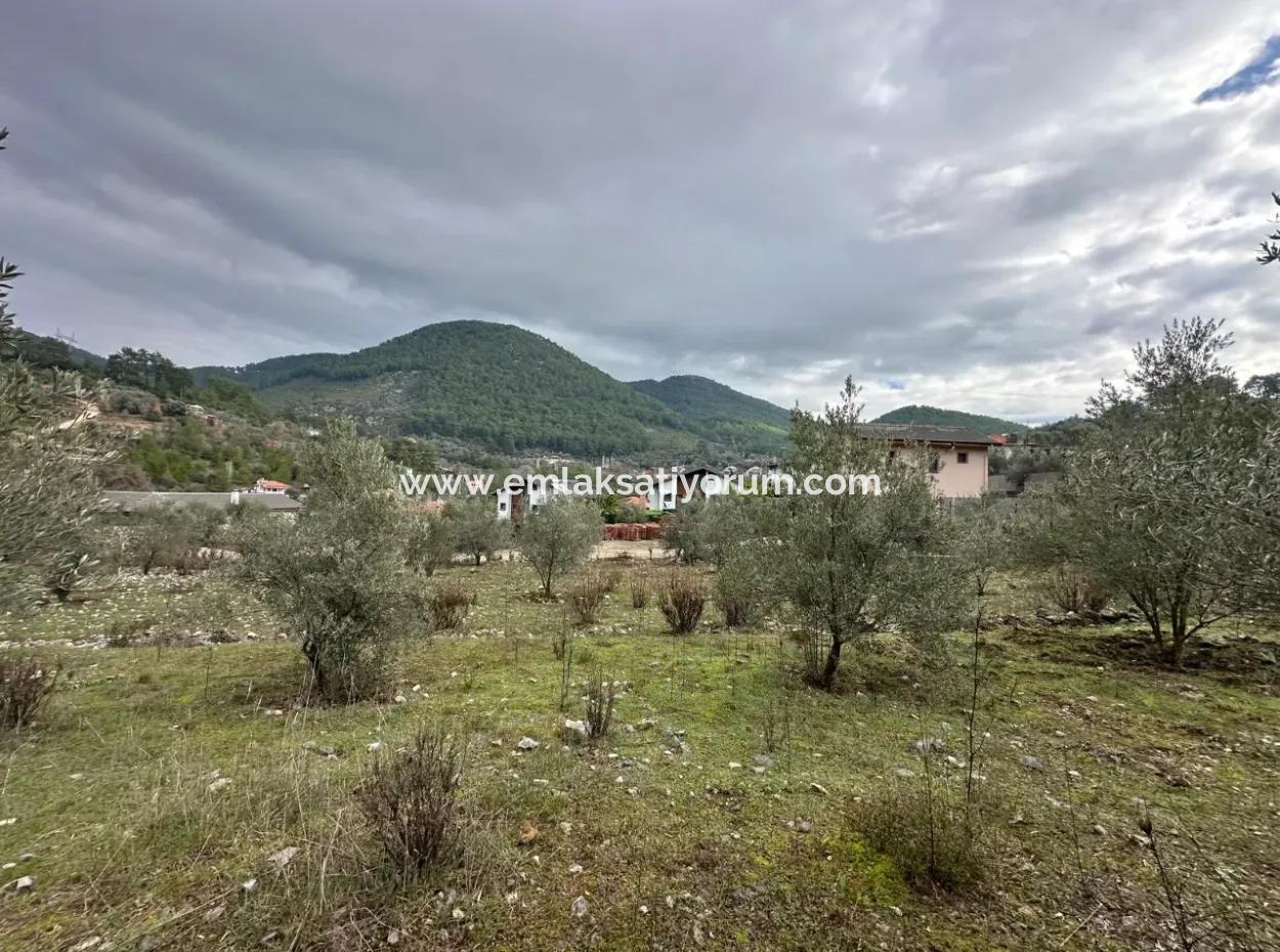 For Sale In Fethiye Gökçeovacıkta 1709 M2