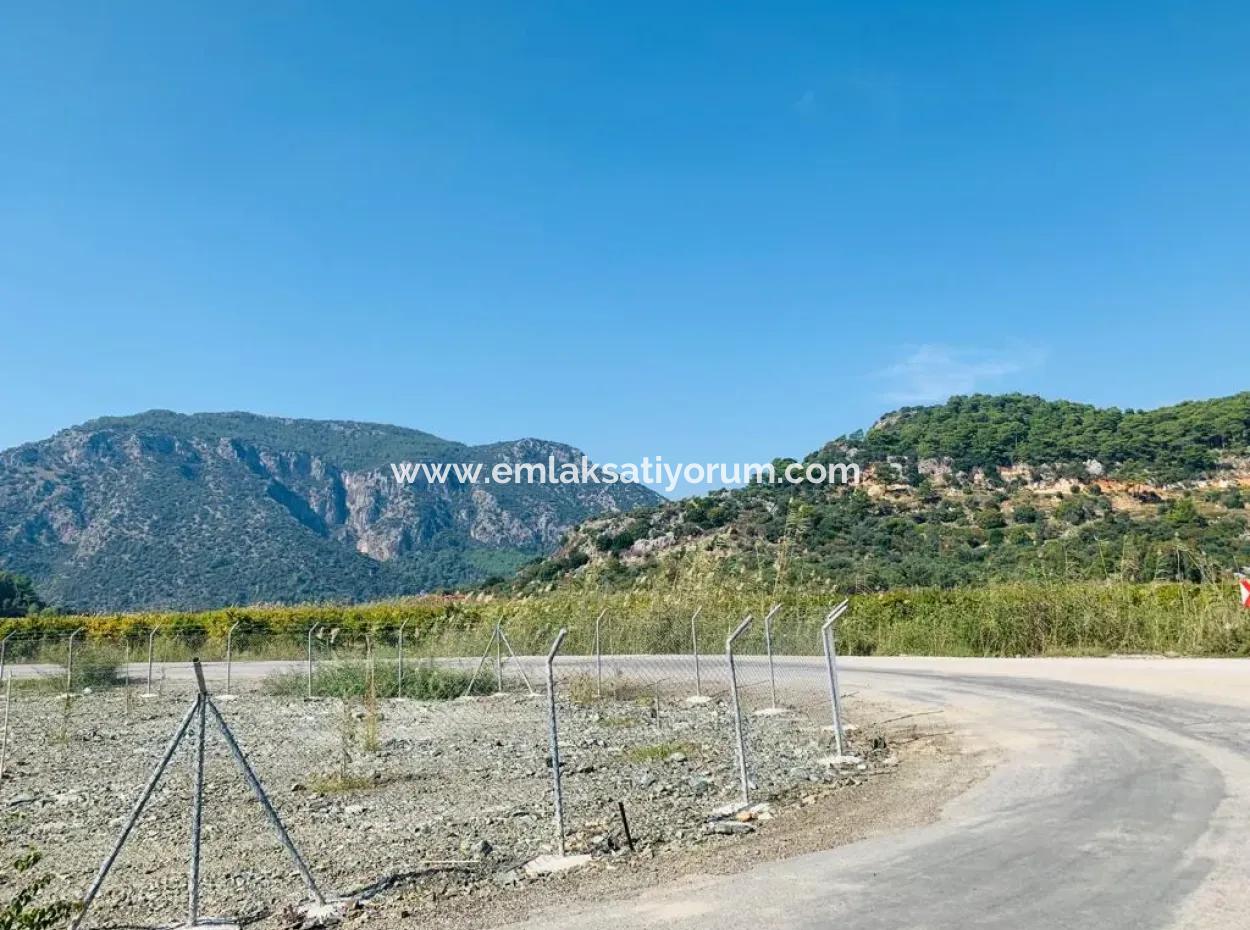 Fields Suitable For Cooperative In Ortaca Güzelyurt Are For Sale