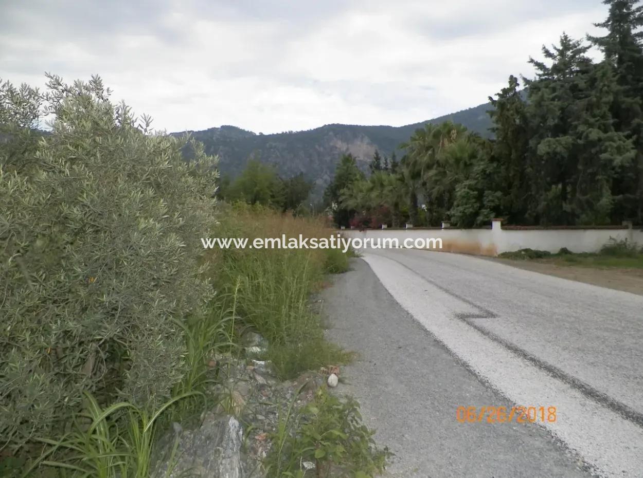 Land For Sale In Dalyan, Property For Sale Bargain