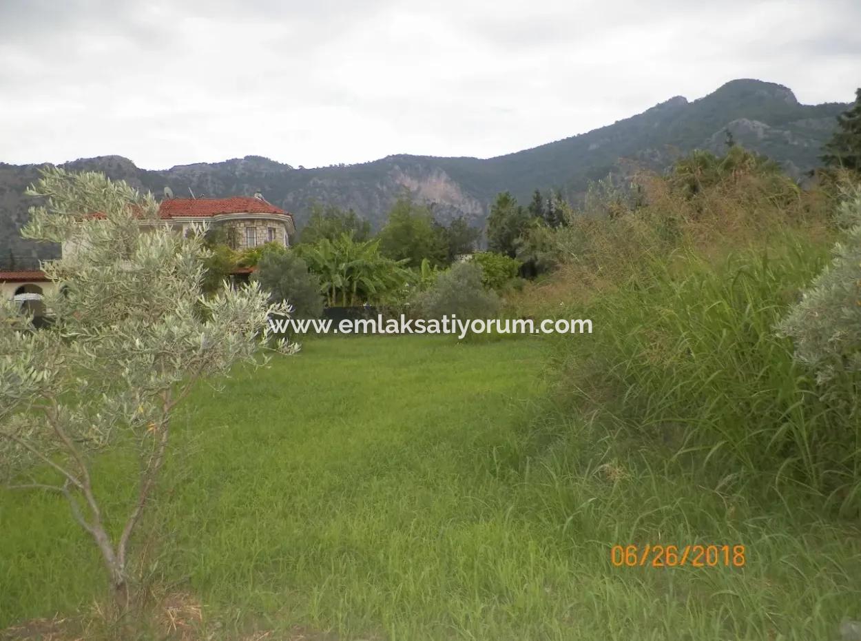 Land For Sale In Dalyan, Property For Sale Bargain