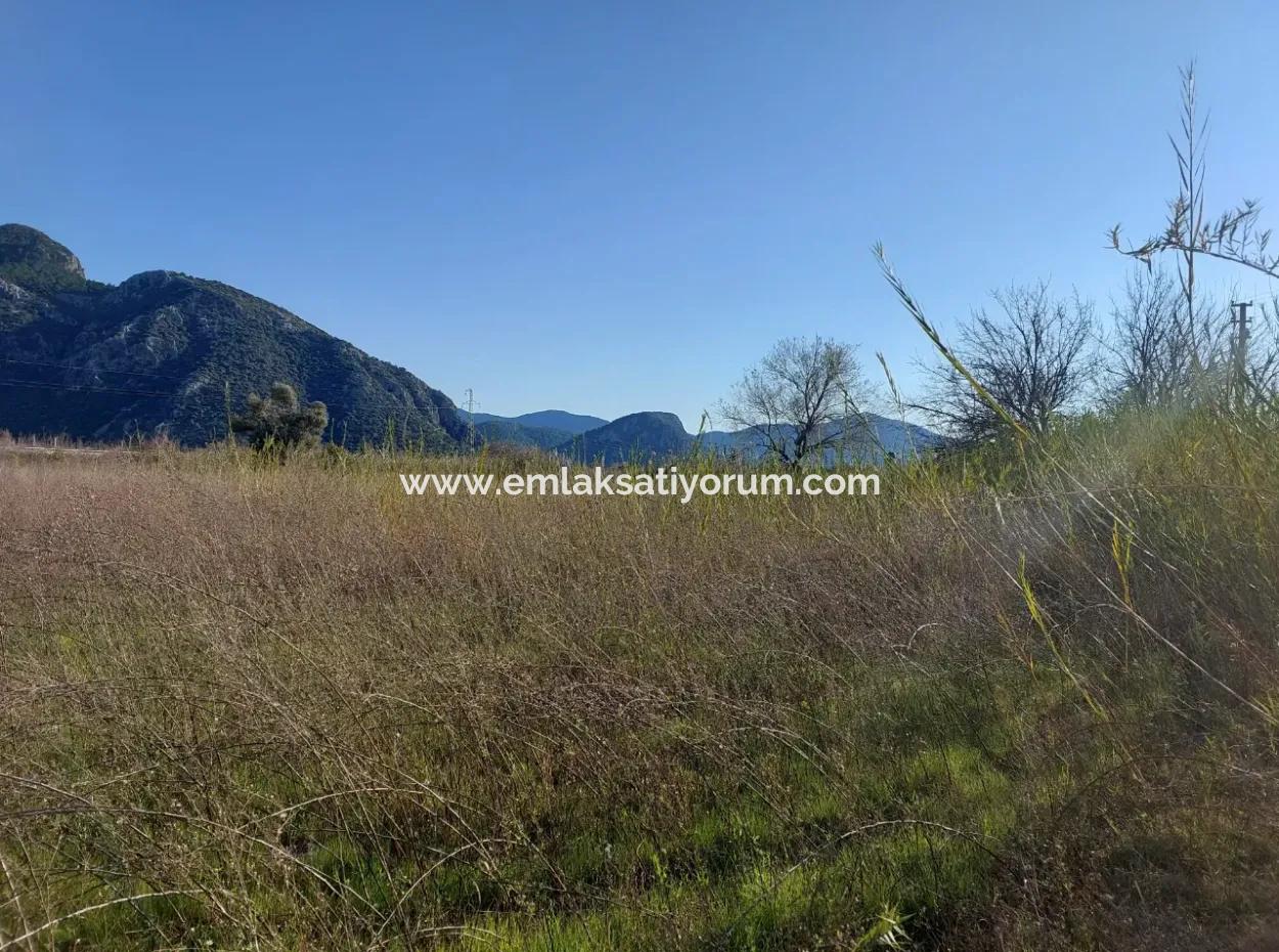 4.800 M2 Land For Sale In Muğla Ortaca Dalyan
