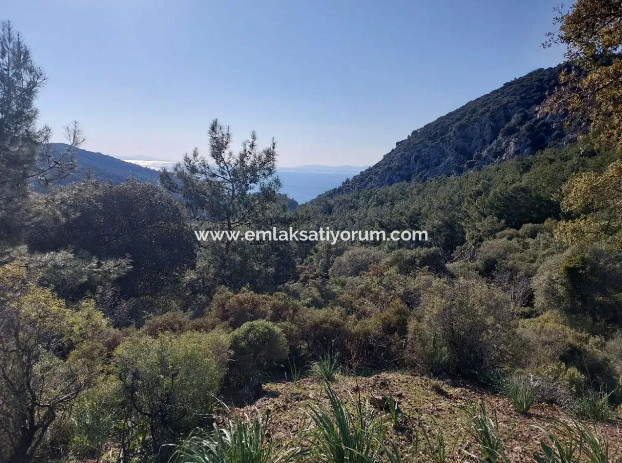 28.350 M2 Land For Sale In Ortaca Gökbelde With Detached Title Deed Sea View