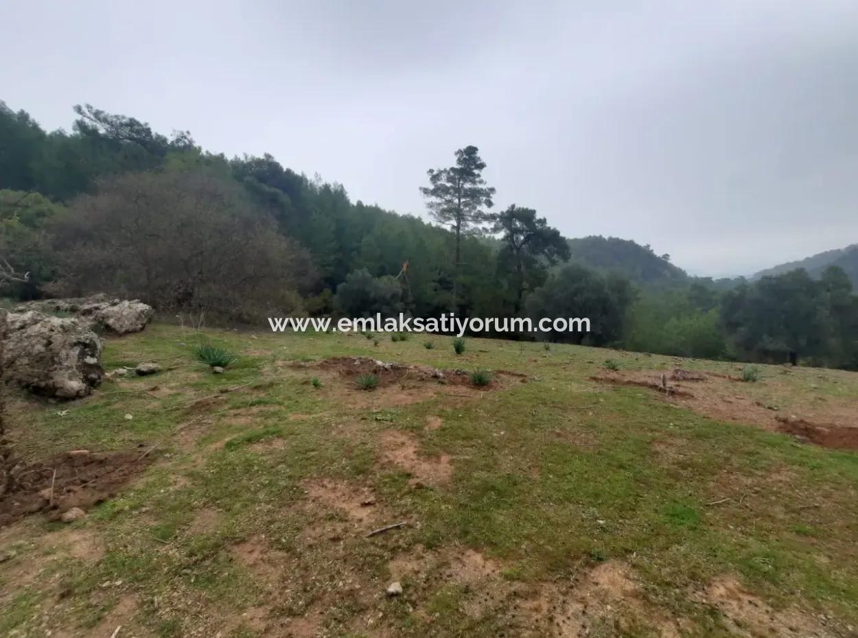 24.000 M2 Detached Land For Sale In Muğla Dalyan Gökbelde Nature