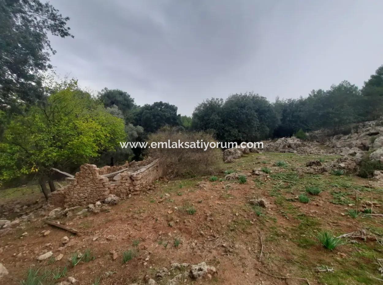 24.000 M2 Detached Land For Sale In Muğla Dalyan Gökbelde Nature