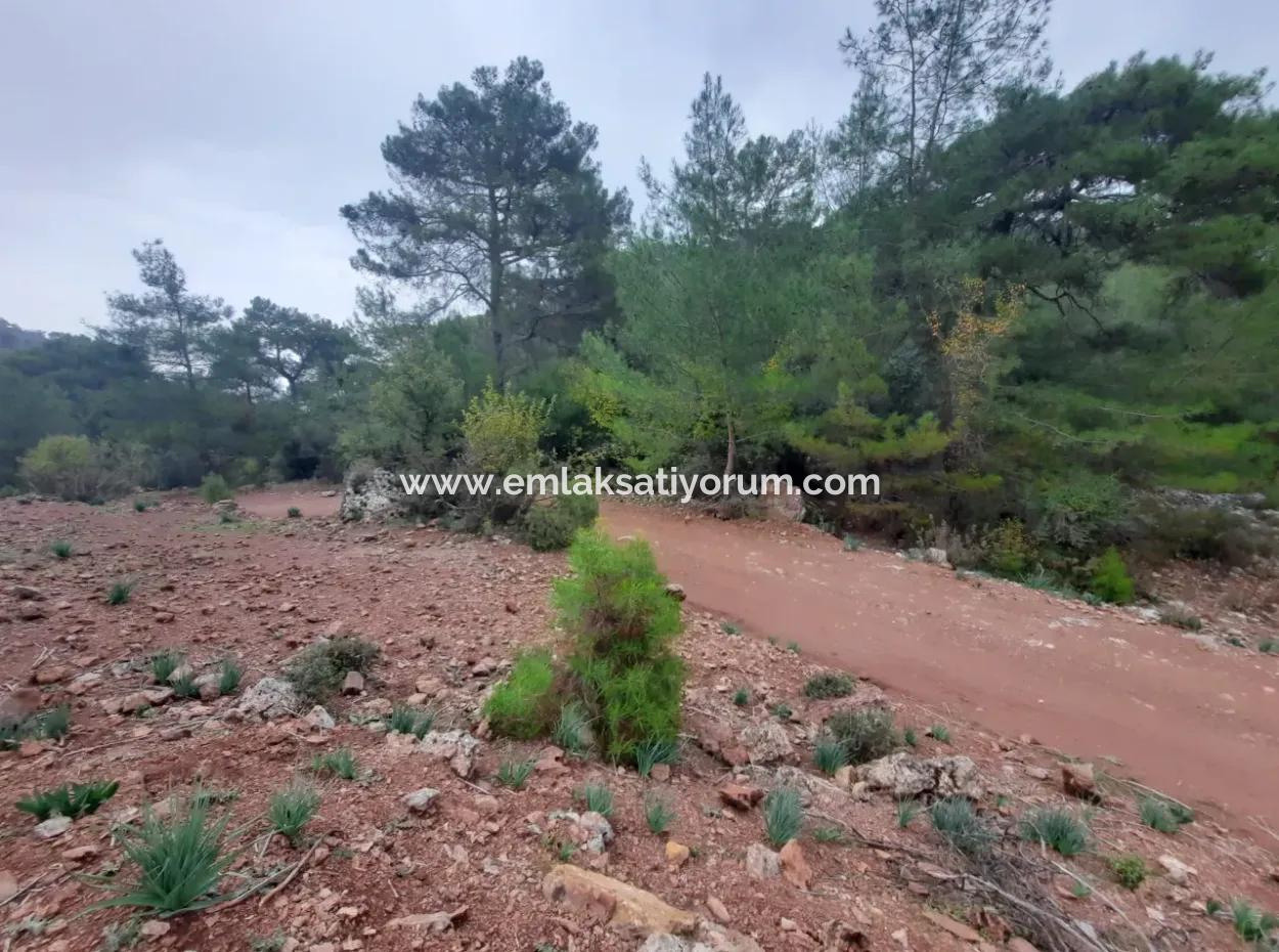 24.000 M2 Detached Land For Sale In Muğla Dalyan Gökbelde Nature