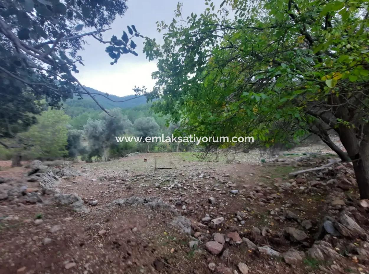 24.000 M2 Detached Land For Sale In Muğla Dalyan Gökbelde Nature