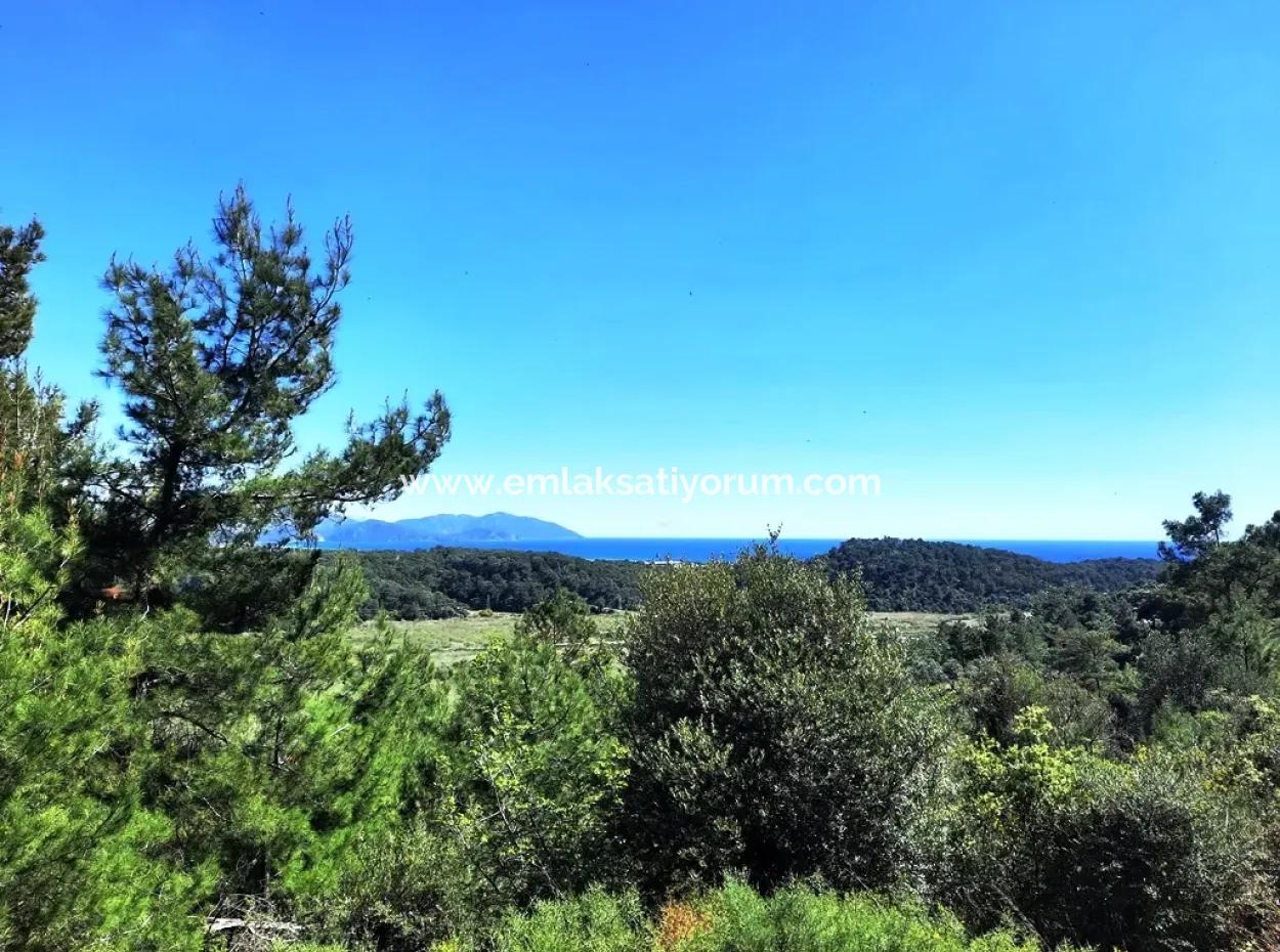 5.000 M2 Residential Zoned Land With Full Sea View In Ortaca Sarigerme For Sale
