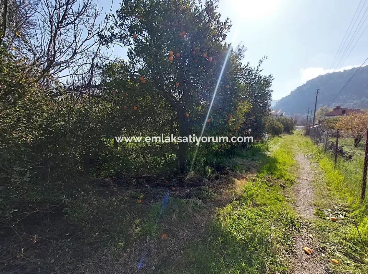 1 520 M2 Land Suitable For Investment For Sale In Ortaca Okçular