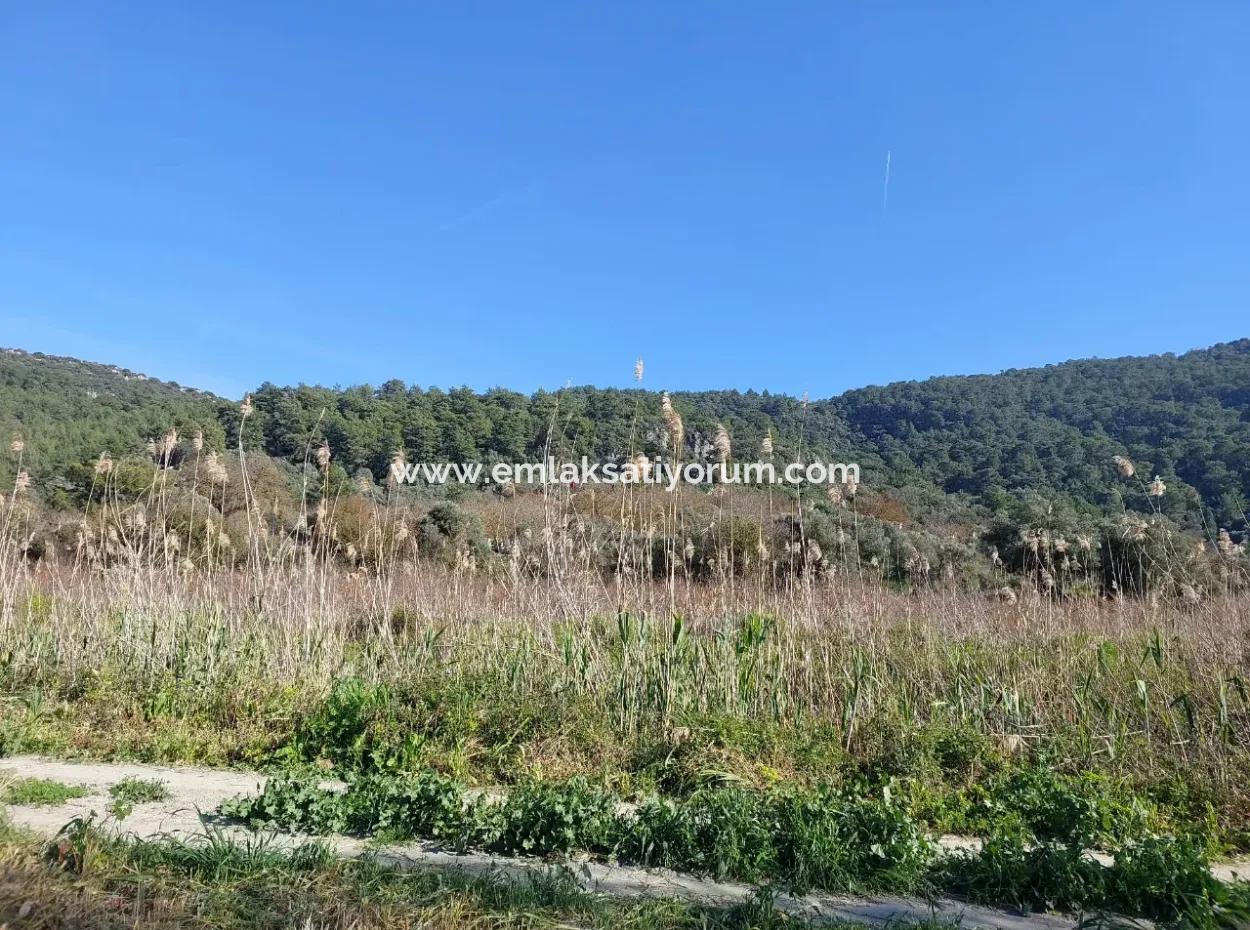 Fertile 6.350 M2 Land For Sale In Muğla Ortaca Güzelyurt