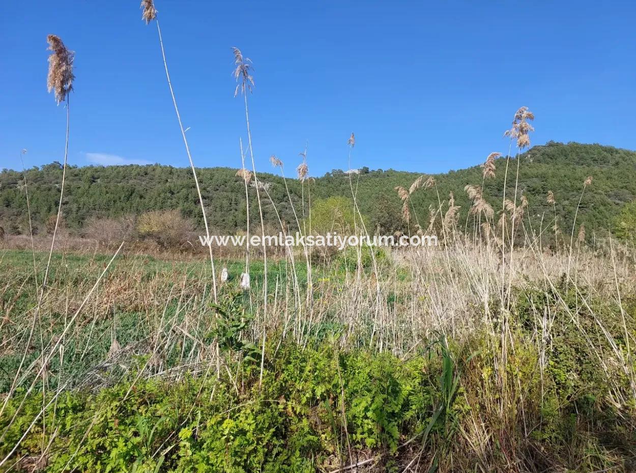 Fertile 6.350 M2 Land For Sale In Muğla Ortaca Güzelyurt