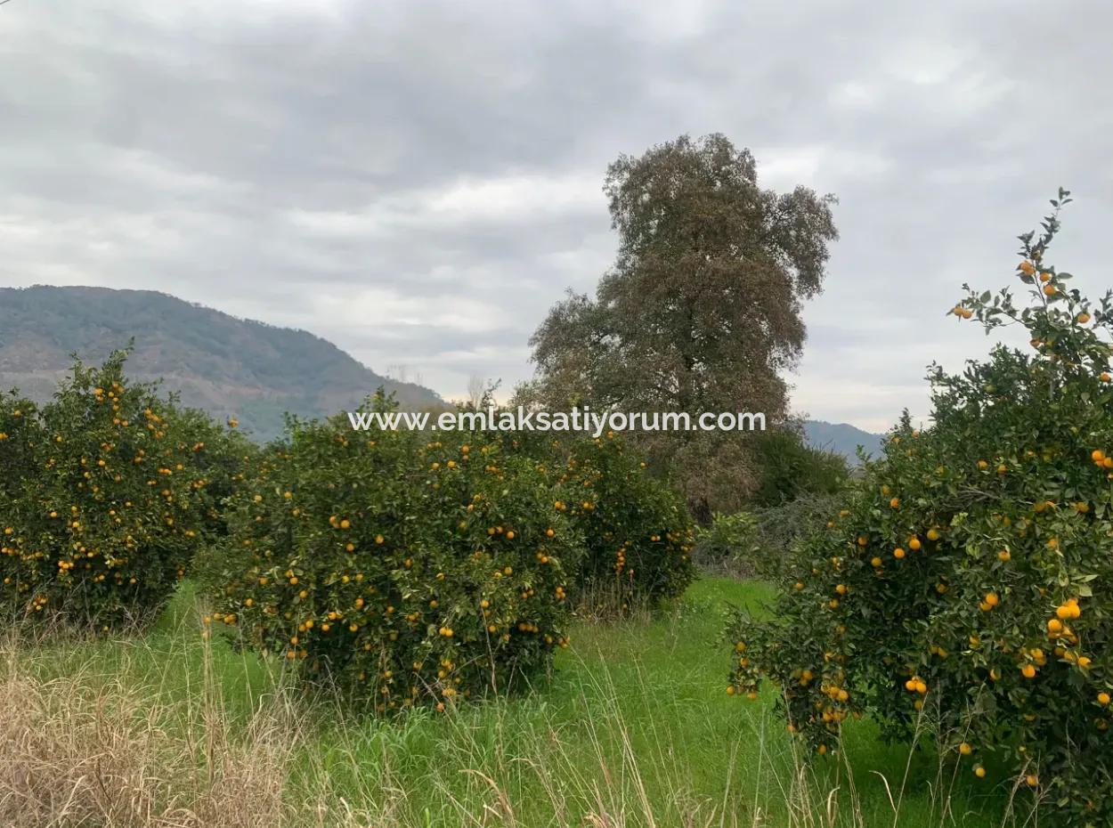1084 M2 Zoned Bargain Land For Sale In Ortaca Ekşiliyurt