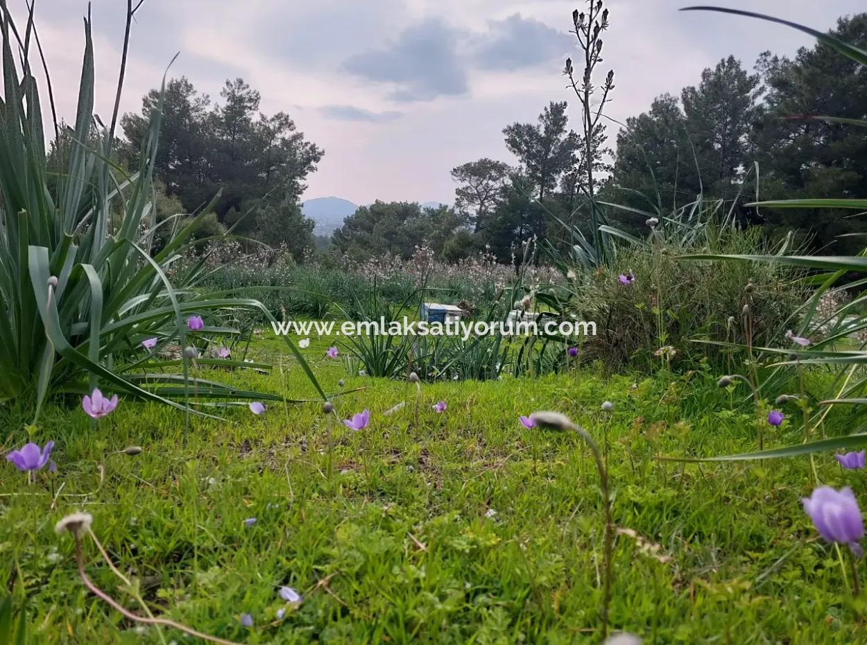 3.500 M2 Detached Land With Sea View For Sale In Dalaman Gürköy