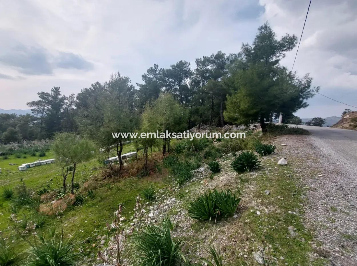 3.500 M2 Detached Land With Sea View For Sale In Dalaman Gürköy