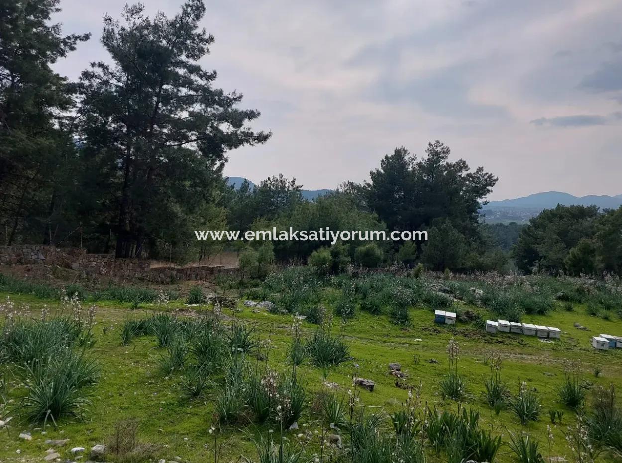 3.500 M2 Detached Land With Sea View For Sale In Dalaman Gürköy