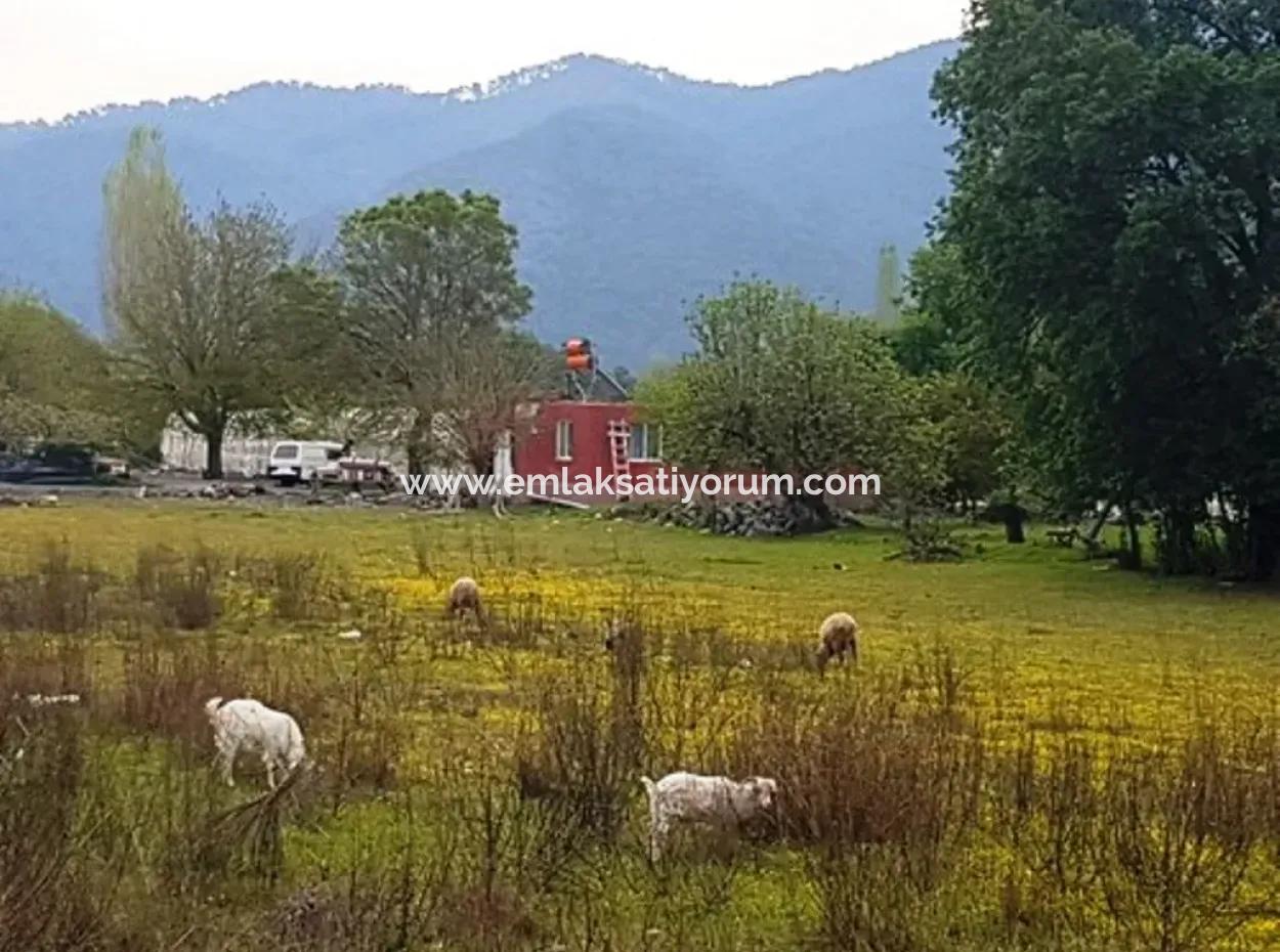 3 577 M2 Land Suitable For Zero Investment On Dalyan Main Road In Muğla Ortaca Okçular