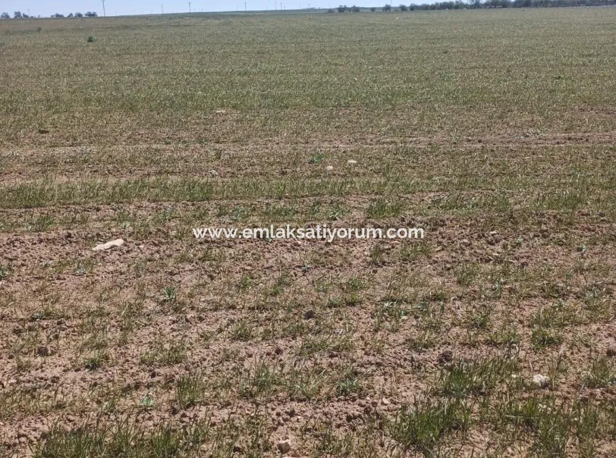 Konya Kadinhani Baskuyu 650.000 M2 Bargain Land For Sale