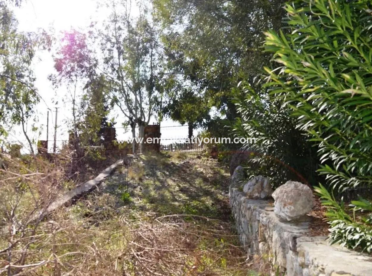 6 165 M2, 18 Villa Zoned Land Suitable For Mass Housing In Dalaman Will Be Given In Return For Floors