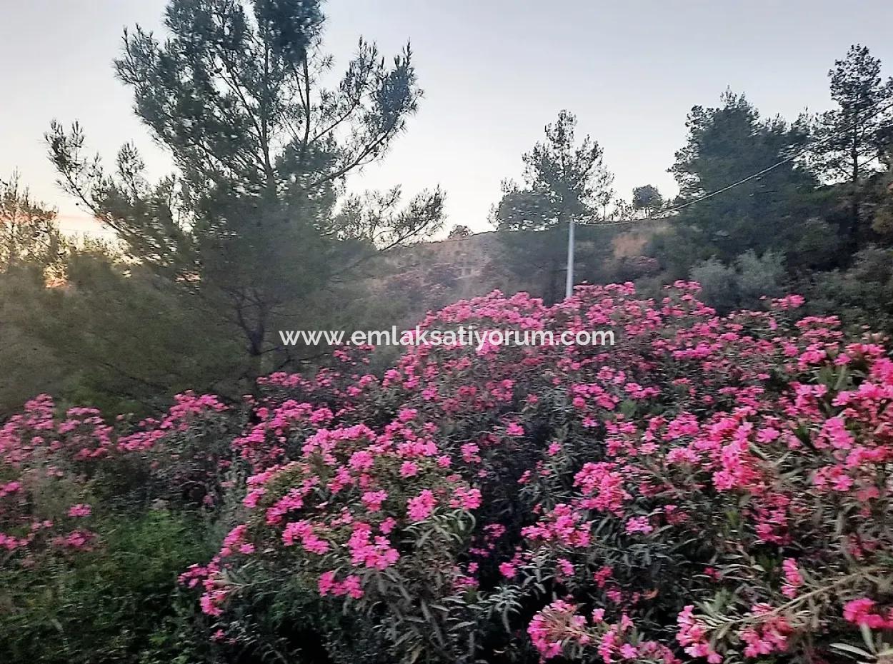 238 M2 Hobby Garden With Detached Title Deed For Sale In Ortaca Gökbel, Muğla