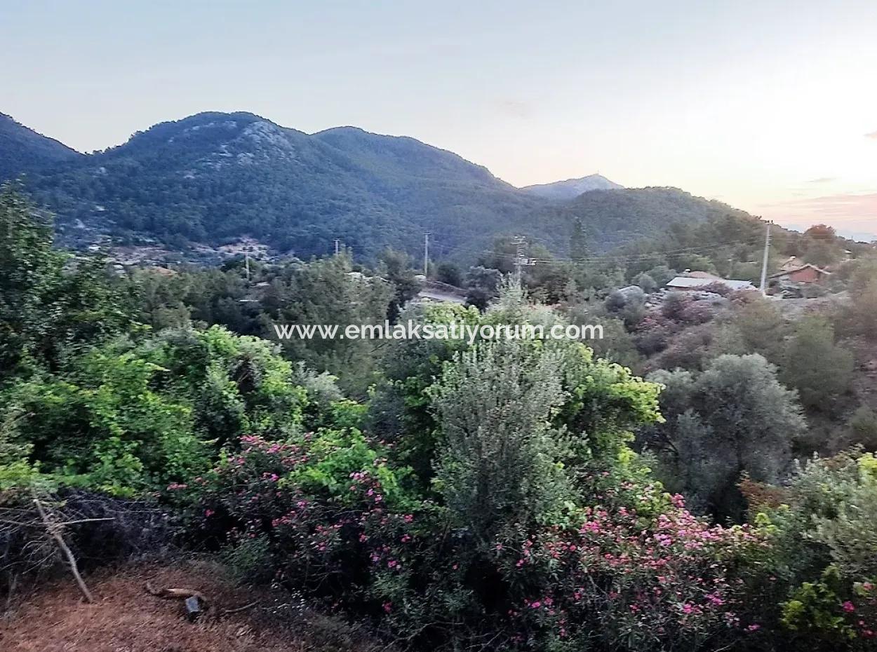 238 M2 Hobby Garden With Detached Title Deed For Sale In Ortaca Gökbel, Muğla