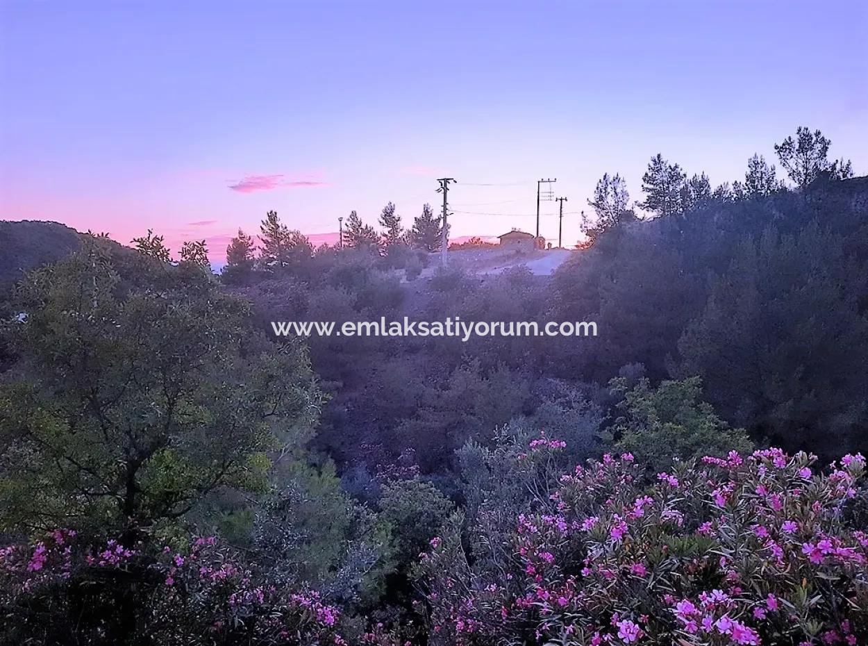 238 M2 Hobby Garden With Detached Title Deed For Sale In Ortaca Gökbel, Muğla