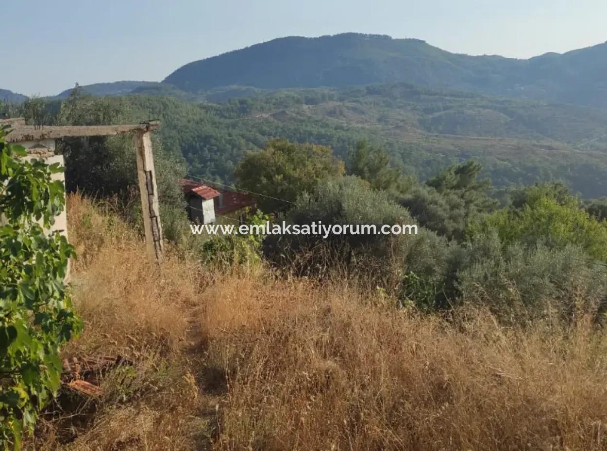 Muğla, Dalaman, Elcik 1 100 M2, Detached Land, 60 M2 Village House For Sale