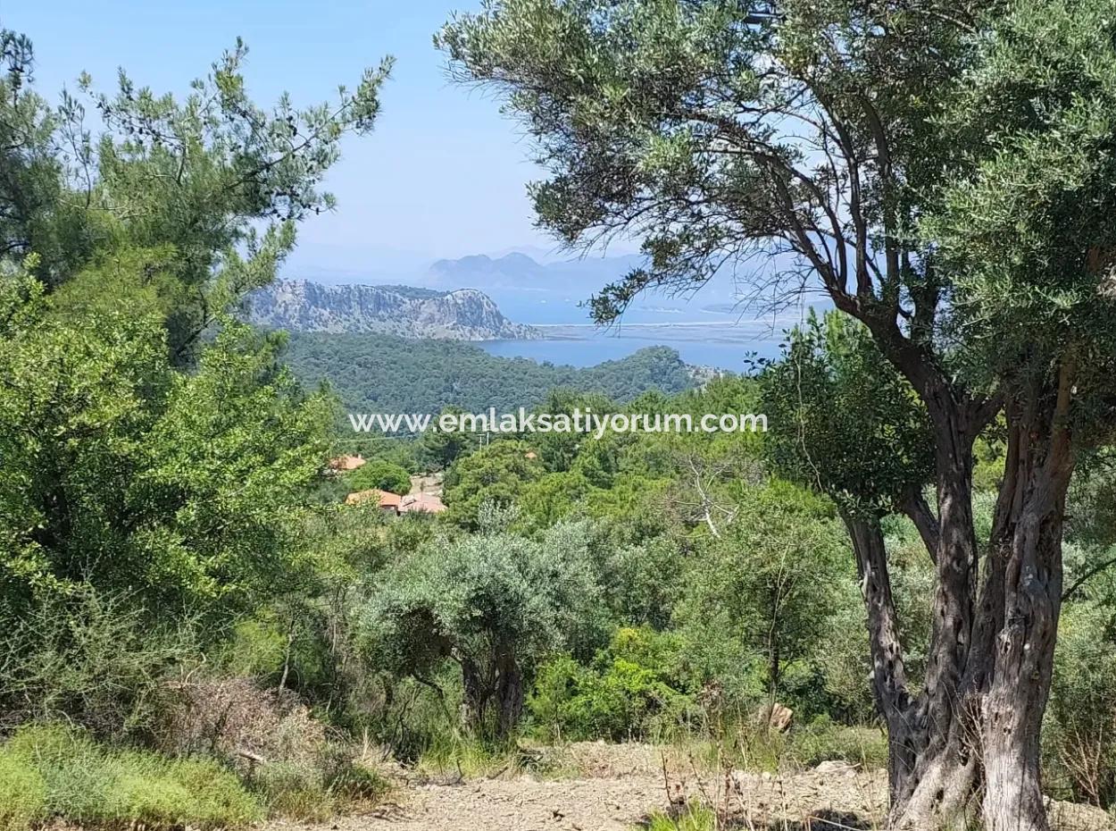 1.000 M² Investment Land With Lake And Sea View For Sale In Muğla Ortaca Gökbel