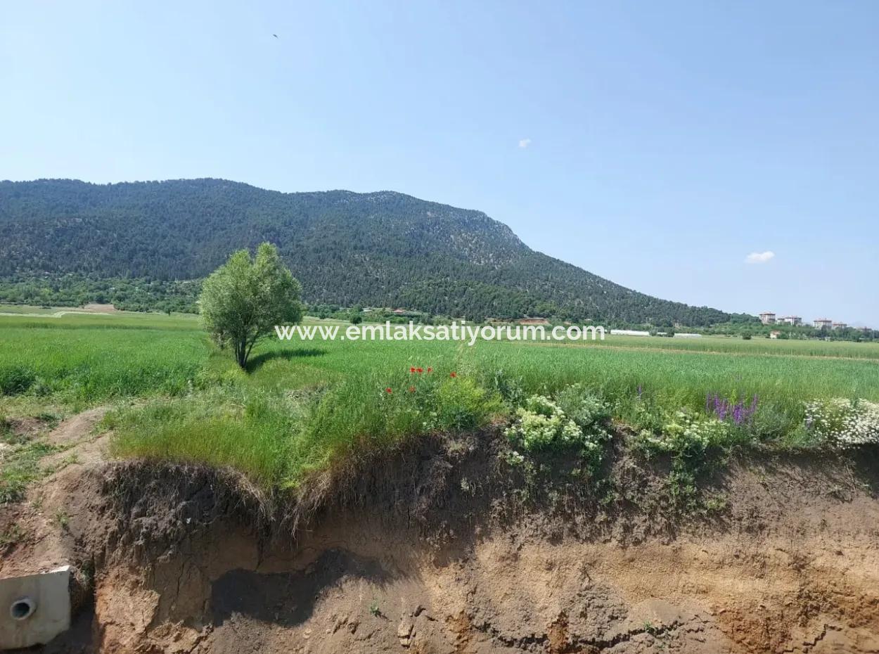 Bargain Land For Sale In Çameli Bıçakçı – 5.333 M² Detached Title Deed