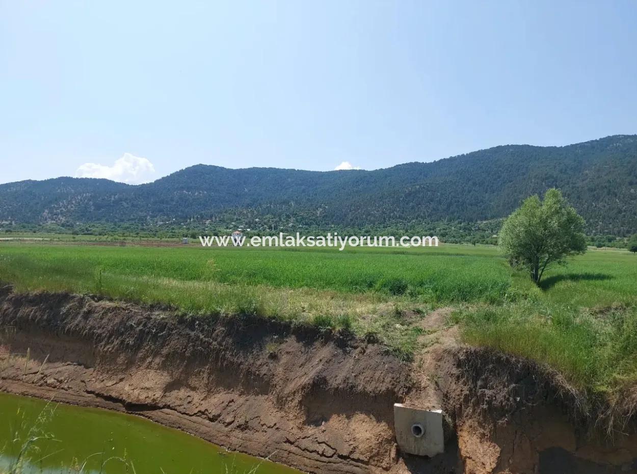 Bargain Land For Sale In Çameli Bıçakçı – 5.333 M² Detached Title Deed