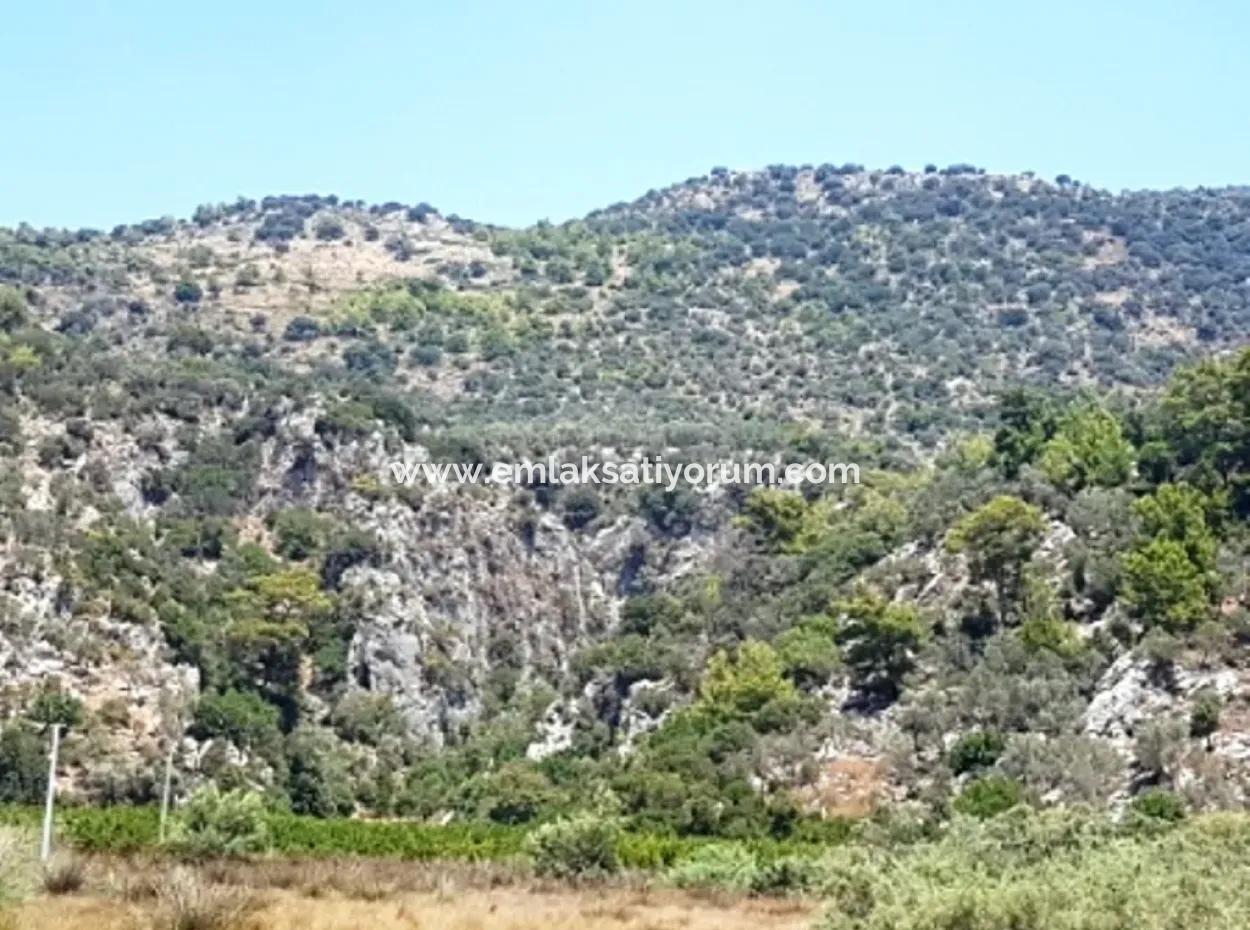 74,000 M2 Sea View Land For Sale In Dalaman Kapıkargın