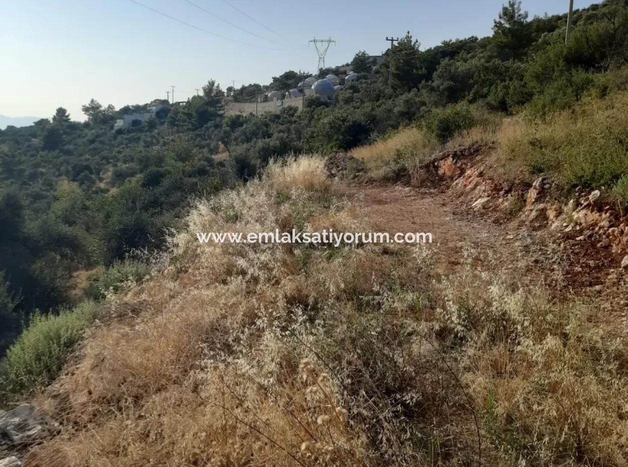 12 300 M2 Land Suitable For Investment For Sale In Antalya Kaş Kalkan Islam