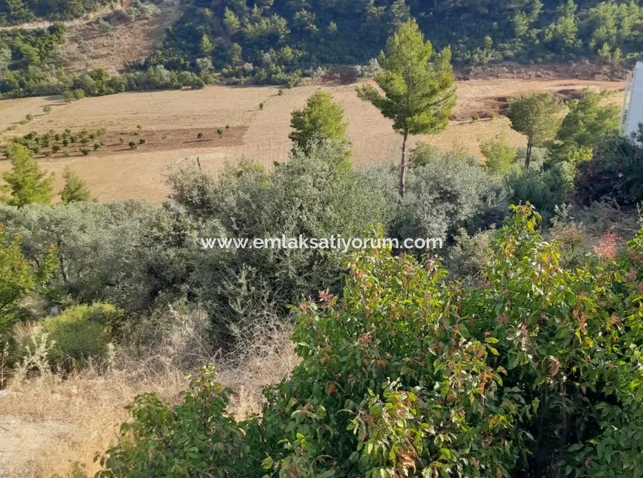 12 300 M2 Land Suitable For Investment For Sale In Antalya Kaş Kalkan Islam