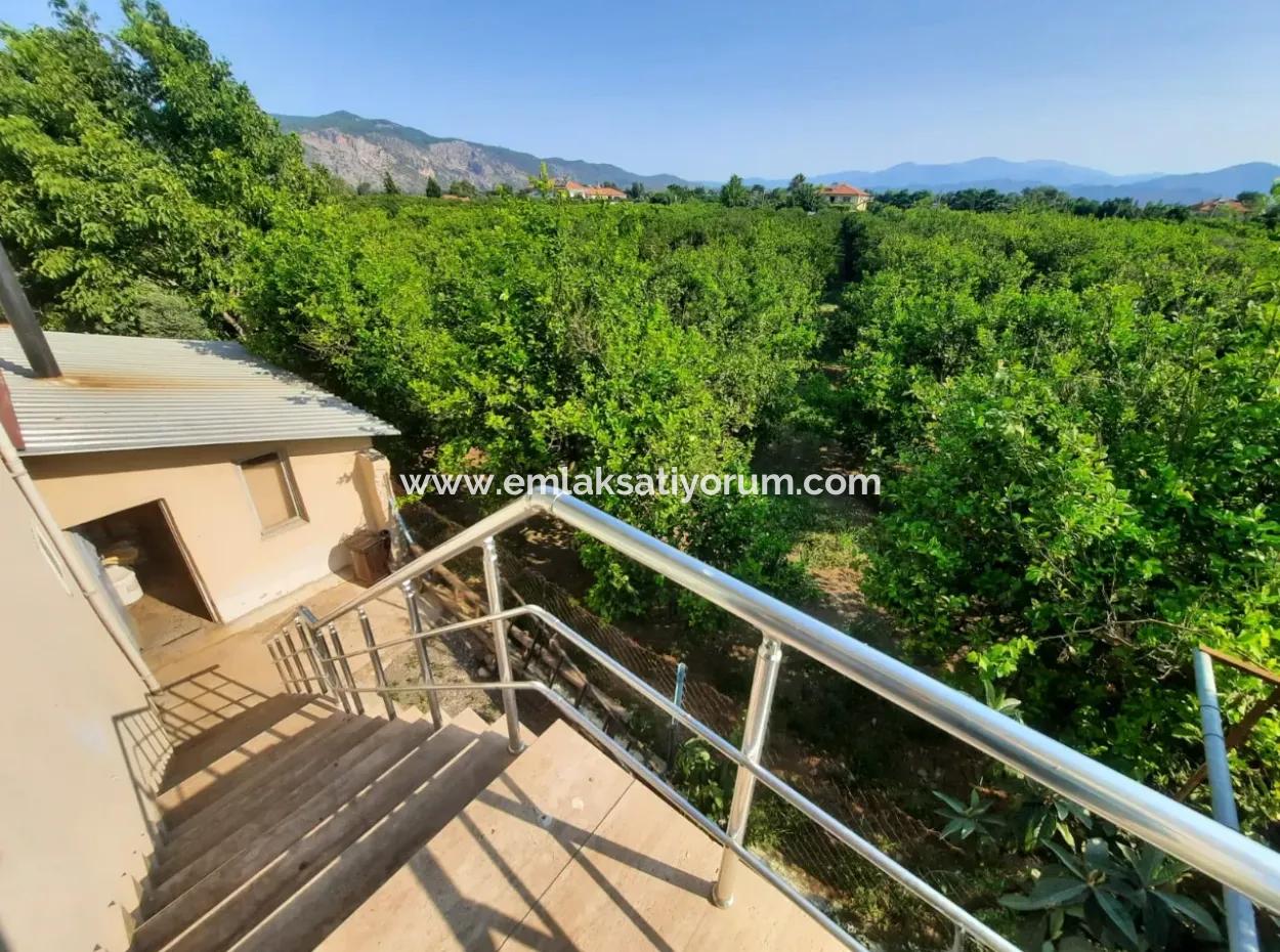 Muğla Ortaca Güzelyurt 2 1 Furnished Apartment For Rent