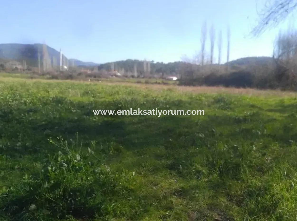 Land For Sale In Bargain Detached Zeytinalani