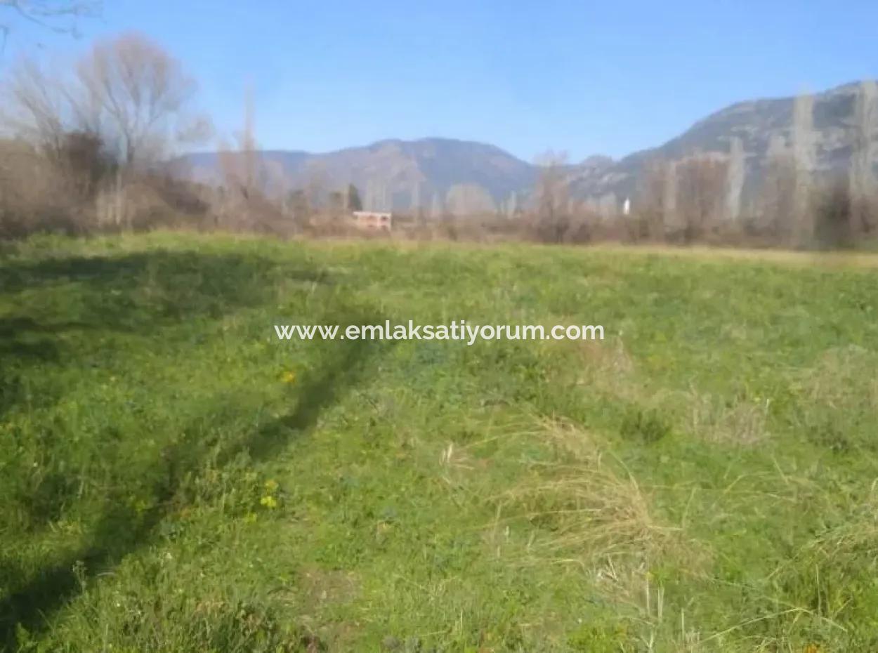 Land For Sale In Bargain Detached Zeytinalani