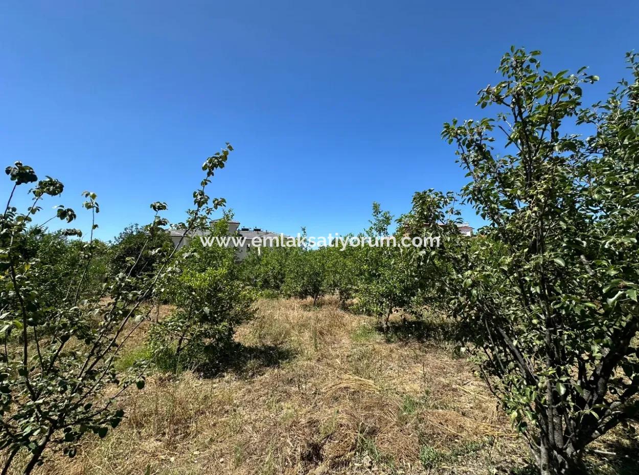 650 M2 30% Zoned Land For Sale In Ortaca Center
