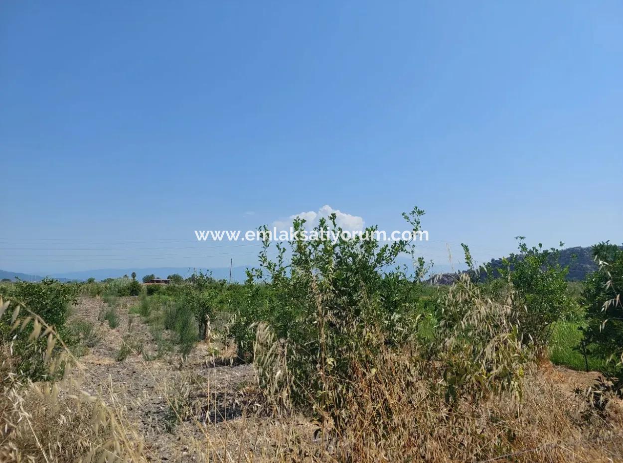 2.800 M² Land For Sale In Dalyan, Muğla, Close To Dalyan Canal