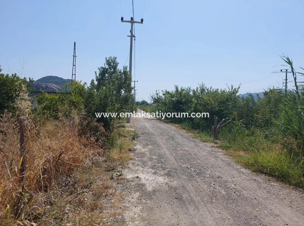 2.800 M² Land For Sale In Dalyan, Muğla, Close To Dalyan Canal