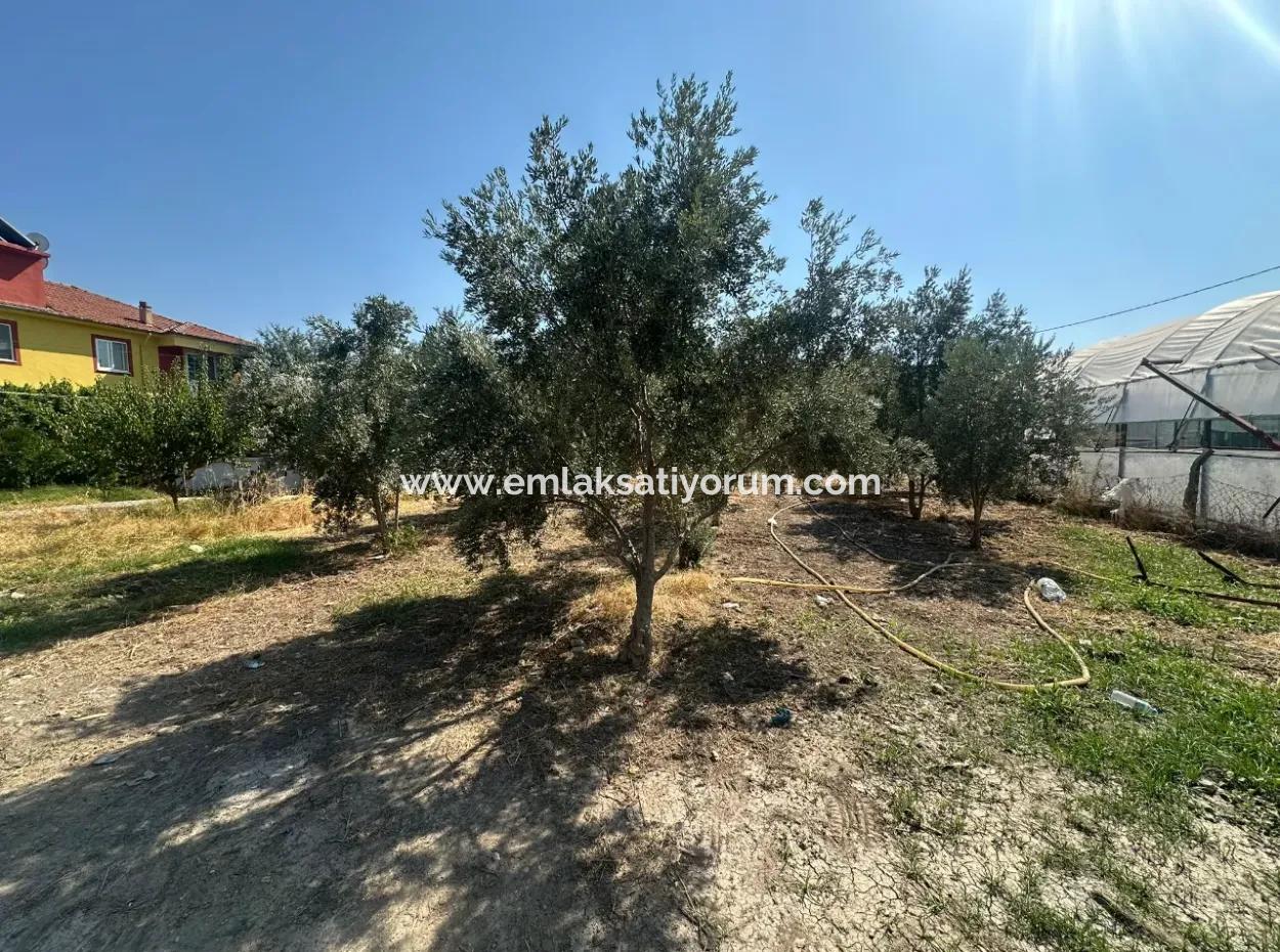538 M2 Land For Sale In Ortaca Ekşiliyurt - 250 M2 Construction Permit