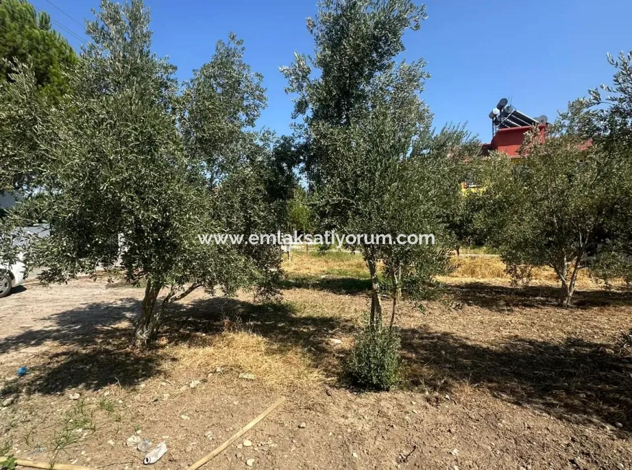 538 M2 Land For Sale In Ortaca Ekşiliyurt - 250 M2 Construction Permit