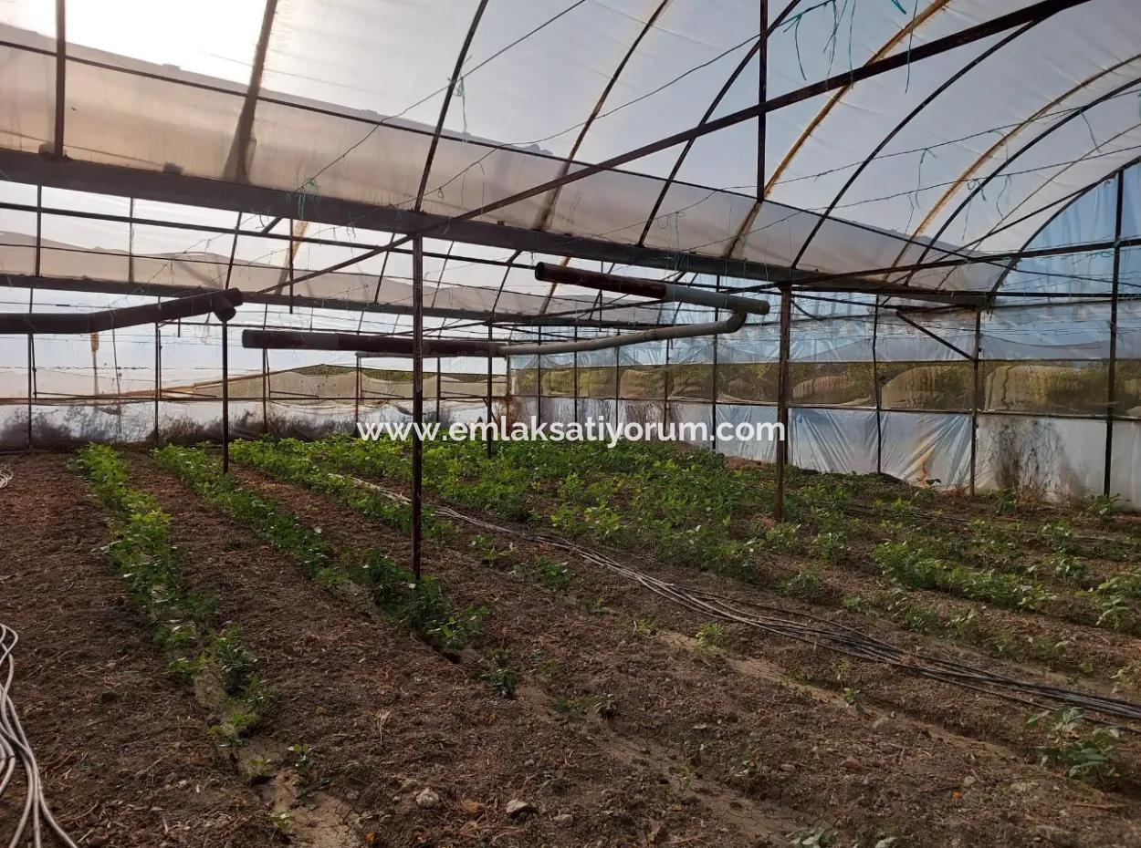 5.850 M² Lake View Land And Village House For Sale In Ortaca Eskiköy