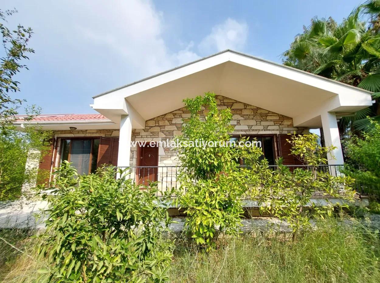 Houses On 3.500 M² Land Suitable For Tourism Investment In Muğla Dalyan For Sale