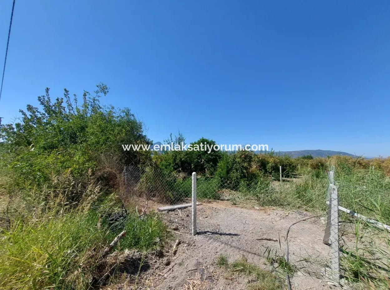 8126 M2 Investment And Pomegranate Orchard Suitable For Zirayi Loan Is For Sale In Ortaca Tepe