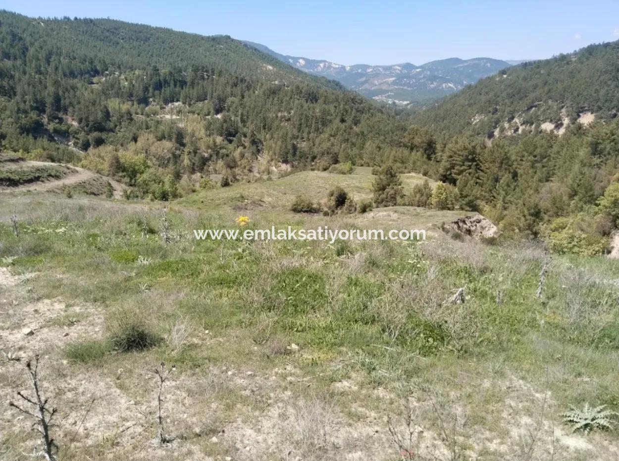 Çameli Kolakta Bargain 20 000 M2 Detached Title Deed Land Is For Sale Or Exchange.