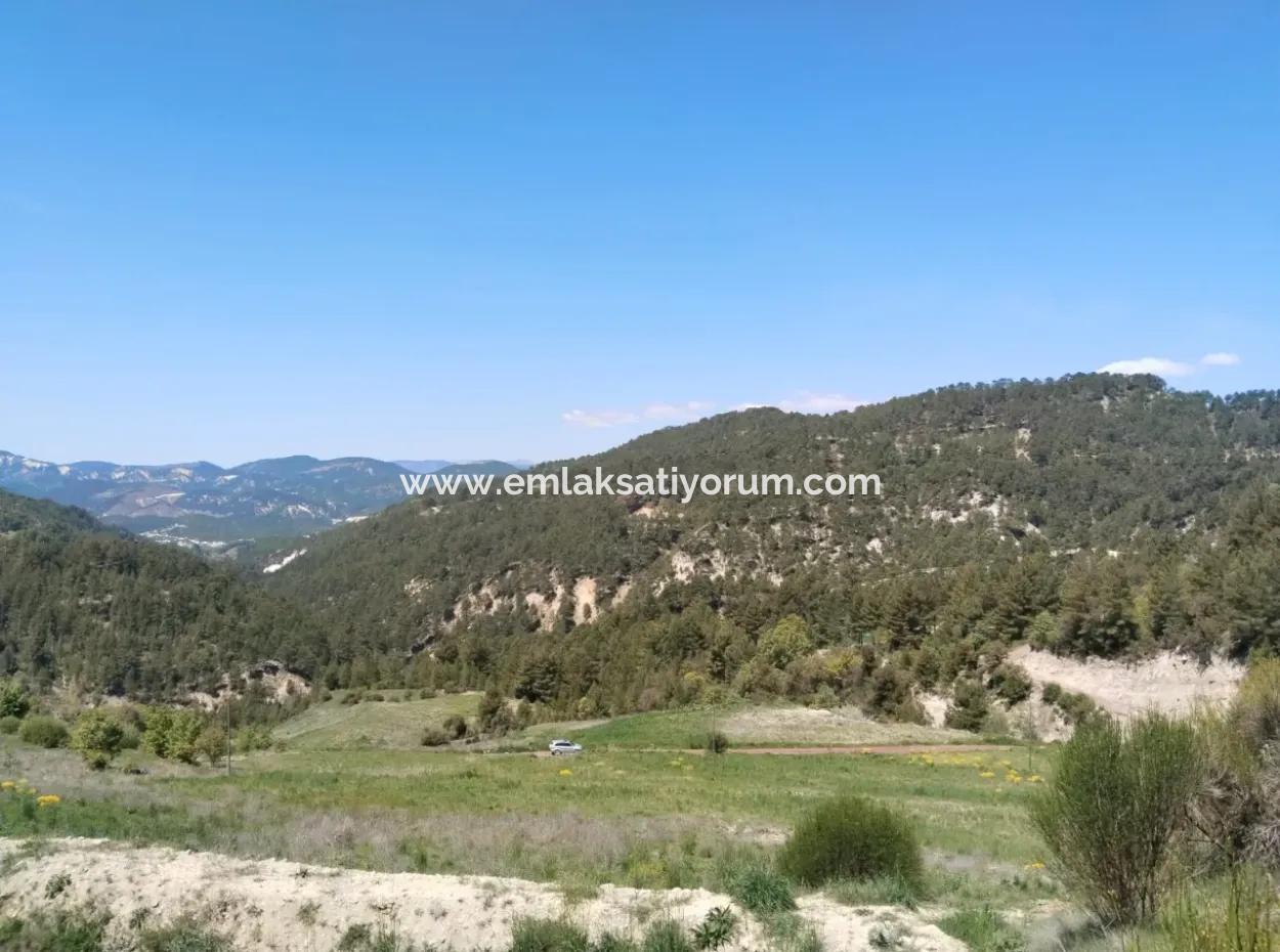 Çameli Kolakta Bargain 20 000 M2 Detached Title Deed Land Is For Sale Or Exchange.