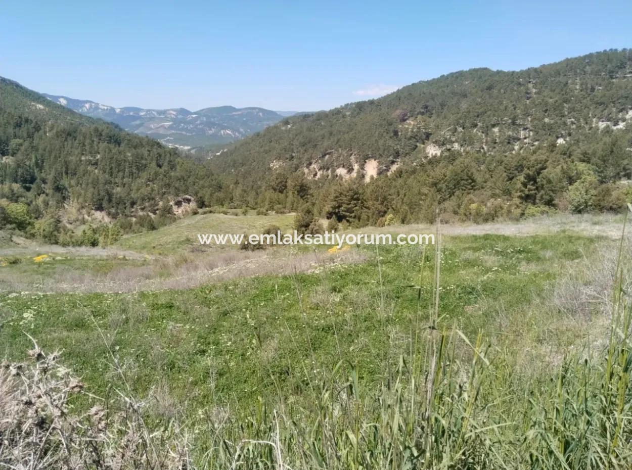 Çameli Kolakta Bargain 20 000 M2 Detached Title Deed Land Is For Sale Or Exchange.