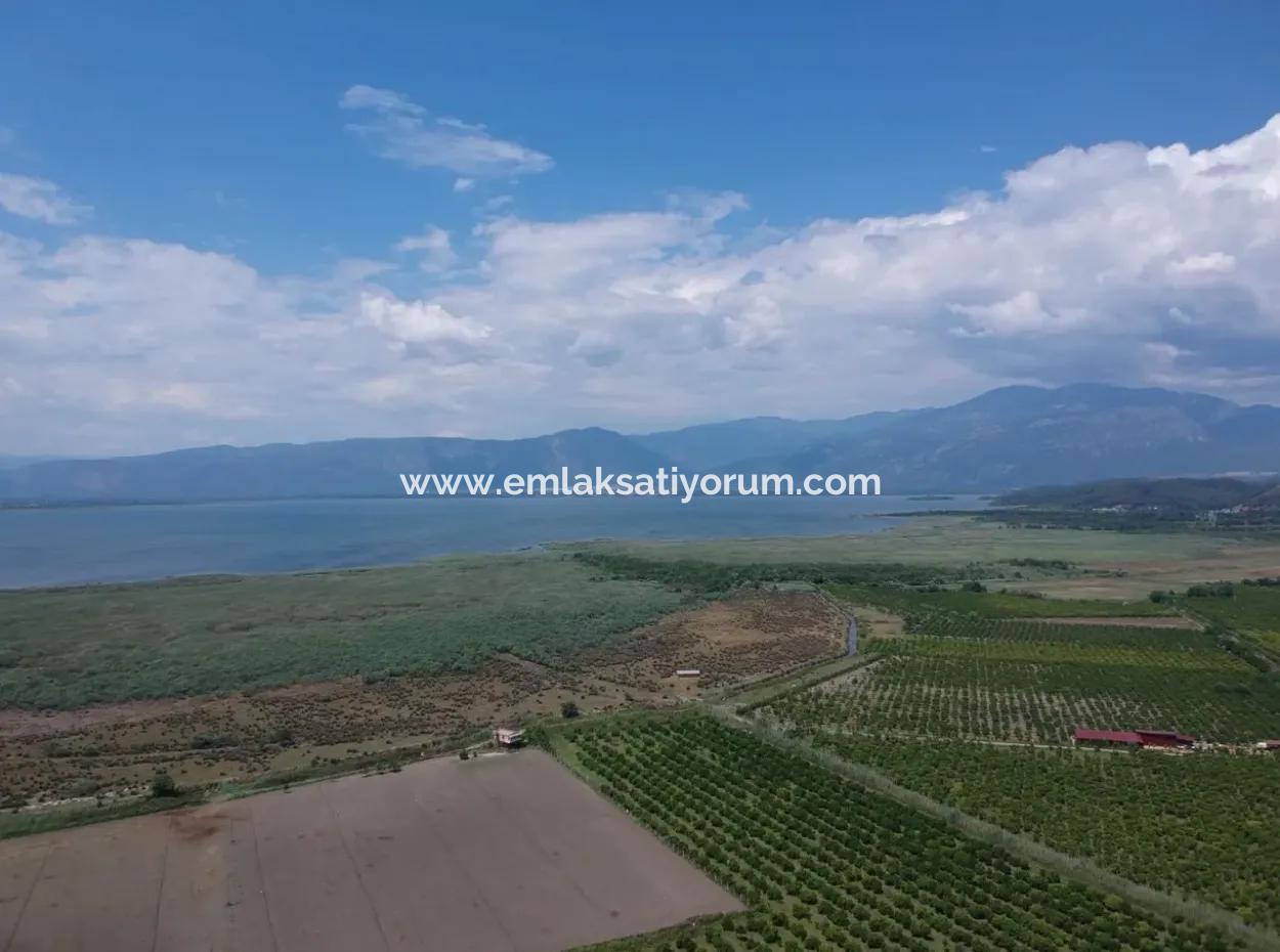Tepearasi Oriya Bargain Between 13 700 M2 Land For Sale