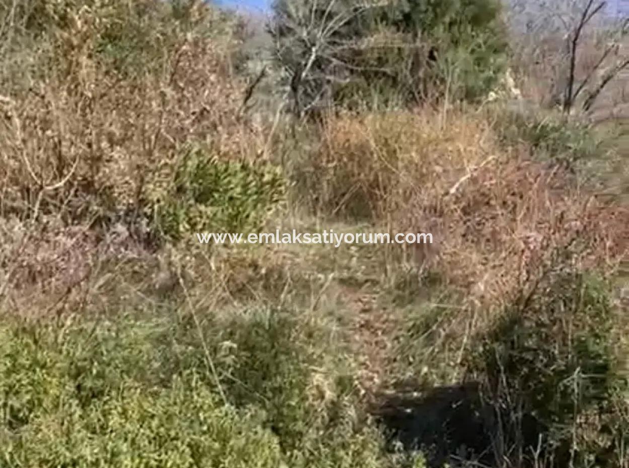 406 M2 Land With 200 M2 Residential Zoning In Muğla Menteşe Zeytinköy For Sale