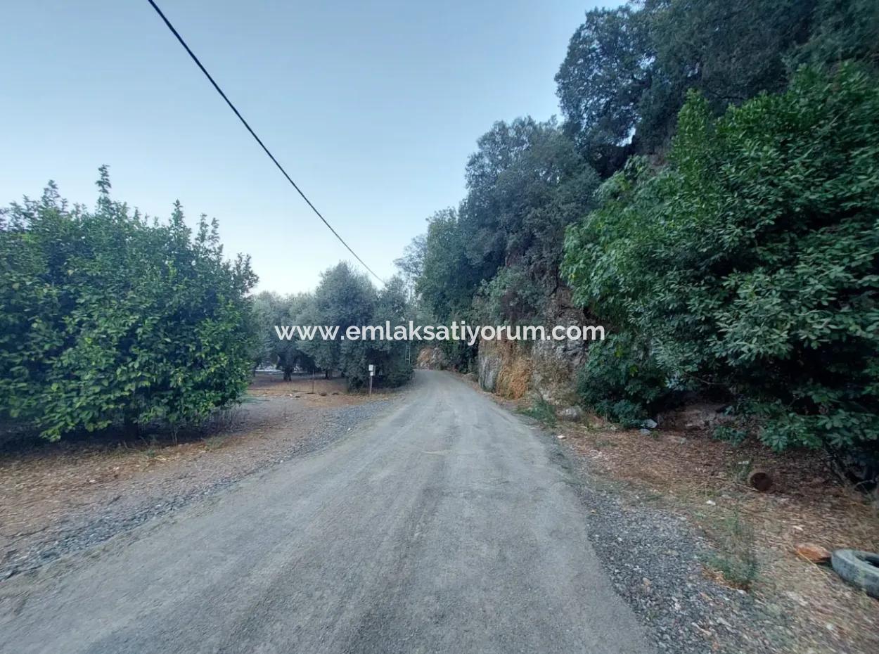 1.300 M2 Detached 250M2 Residential Zoned Land For Sale In Muğla, Ortaca, Karadonlar